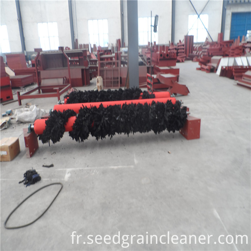 Haricot De Polissage Mahcine Green Bean Polishing Mahcine